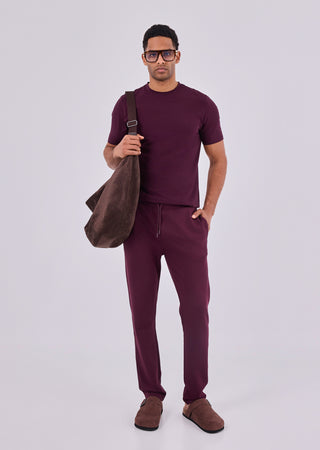 Men's Straight Leg Pant Purple Fig