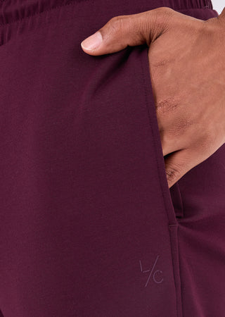 LC Pants Men's Straight Leg Pant Purple Fig